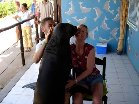 Sjøløvekyss på Isla Margarita