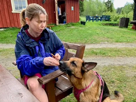 På Fjølstadtrøa med schæferjenta vår, Ronja